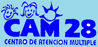 CAM 28